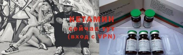 гидра Новозыбков
