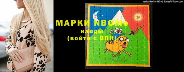 индика Барнаул