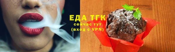 гидра Новозыбков