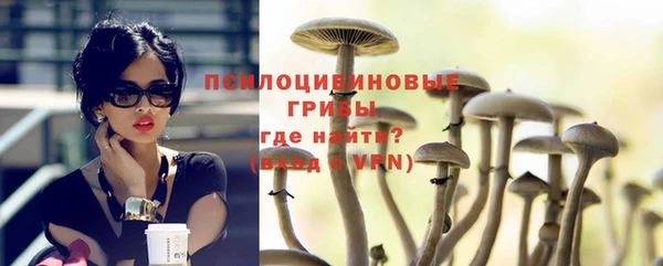 гидра Новозыбков