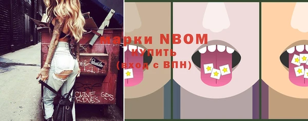 гидра Новозыбков