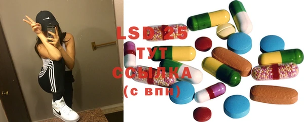 гидра Новозыбков