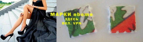 гидра Новозыбков