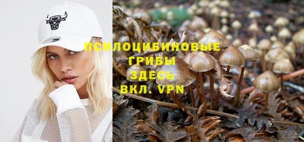MESCALINE Новодвинск
