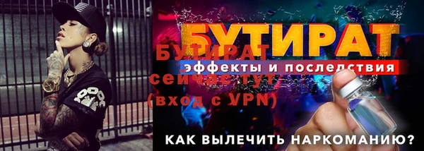 гидра Новозыбков