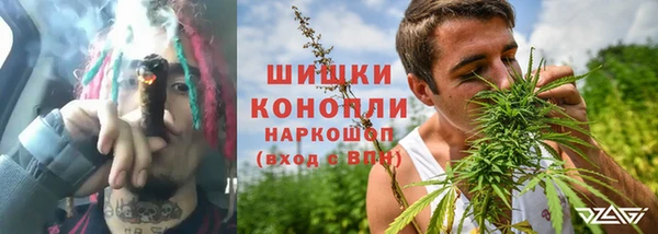 стафф Нефтекумск