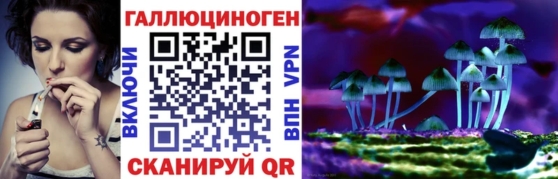 Галлюциногенные грибы Psilocybe где купить наркоту Заинск