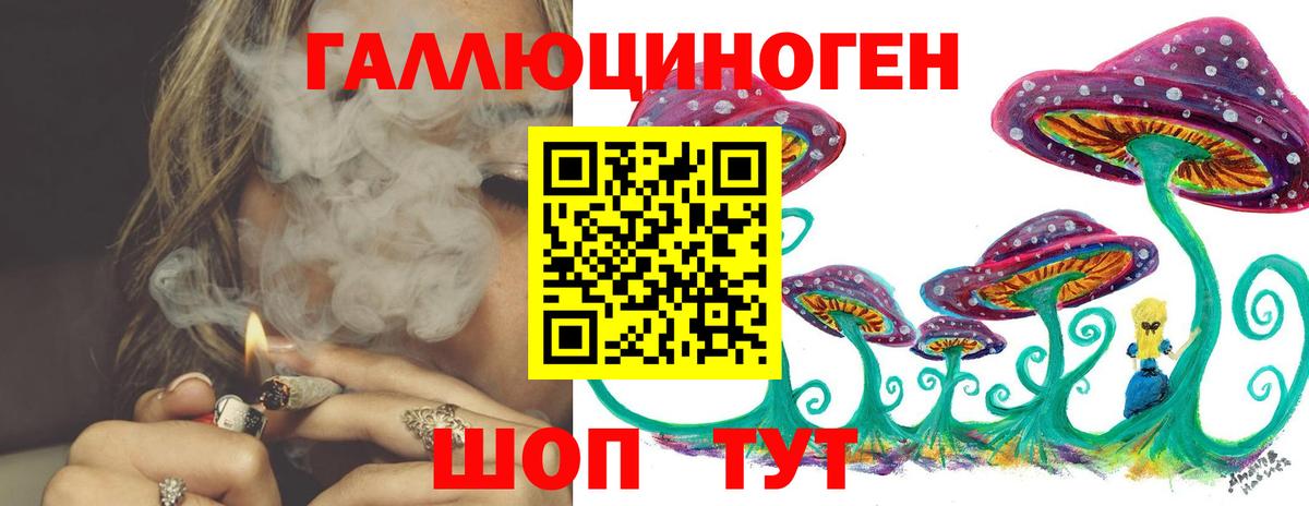 как найти закладки  Вход с VPN  Заинск  Псилоцибиновые грибы мицелий 